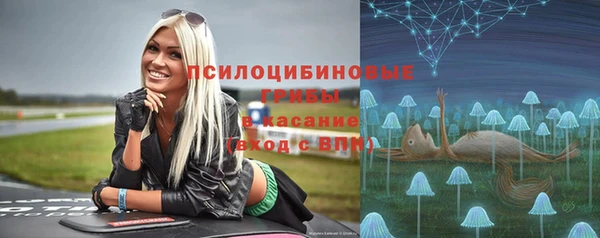 таблы Богородск