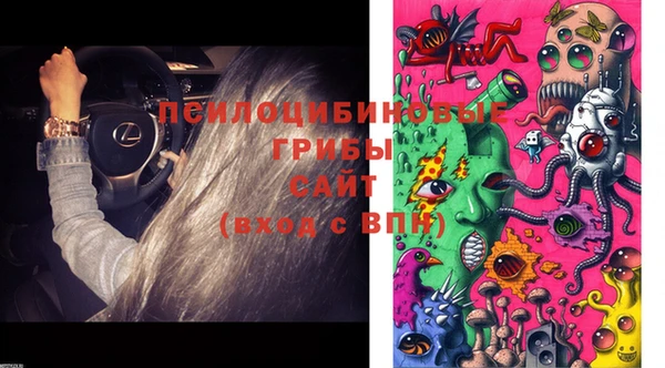 apvp Богородицк
