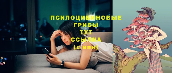 таблы Богородск