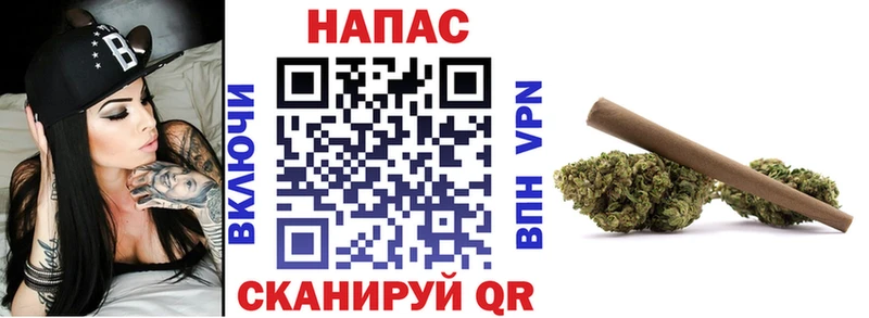 гидра tor  как найти закладки  Колпашево  Бошки Шишки конопля 